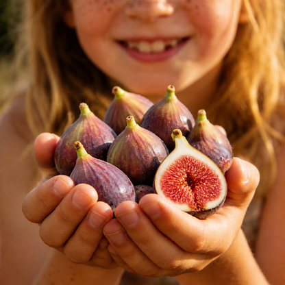 🌿 Grow Your Own Delicious Fig Tree🍈